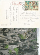 China 1994 DunHuang Murals Y.1.60 Solo Franking Airmail Pcard BeiJing 8aug1984 To Italy - Briefe U. Dokumente