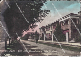 Ca676 Cartolina Novi Ligure Viale Della Rimembranza E Villa F.coppi Alessandria - Alessandria