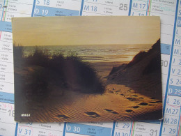 à Identifier -littoral De La Manche - Contre Jour Dans Les Dunes - Zu Identifizieren