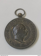 Luxembourg Médaille, Cercle Grand Ducal D'agriculture Et Horticulture De Luxembourg 1900 - Altri & Non Classificati