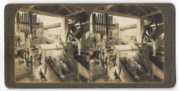 Vue Stéréoscopique 1904 The Grinding Machine Mona Sugar Estate Near Kingston Jamaica  Stereoview - Stereoscopes - Side-by-side Viewers