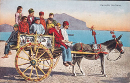 Italy PPC Caretto Siciliano Donkey Cart Attelage Ane SALERNO 1927 Denmark (2 Scans) - Andere & Zonder Classificatie