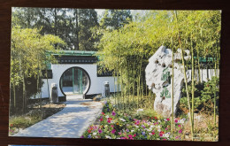 Bamboo Forest At Entrance,CN 03 Hangzhou Orchid Garden Important Orchid Cultivation Base Appreciation Destination PSC - Orchideeën