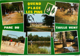 CPSM Quend Plage Les Pins                  L2742 - Quend