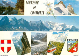 CPSM Souvenir De Chamonix                   L2741 - Chamonix-Mont-Blanc