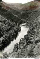 CPSM Prades-Les Rives Du Tarn                             L2739 - Autres & Non Classés