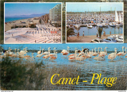 CPSM Canet Plage                      L2750 - Canet Plage