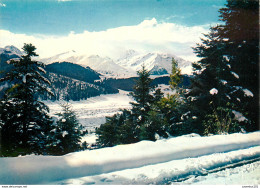 CPSM Paysage De Neige                      L2748 - Andere & Zonder Classificatie