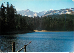 CPSM Payolle-Lac Et Massif De L’Arbizon                       L2748 - Autres & Non Classés