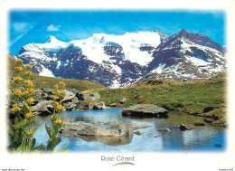 CPSM Paysage-près Des Neiges éternelles-René Gérard                        L2747 - Andere & Zonder Classificatie