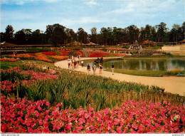CPSM Parc Floral De Paris                        L2747 - Parks, Gardens