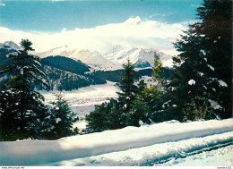 CPSM Paysage De Neige                         L2746 - Andere & Zonder Classificatie