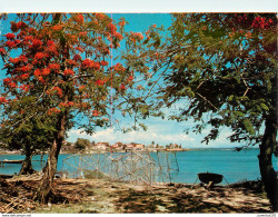 CPSM Guadeloupe-L’autre Bord à Moule                        L2744 - Autres & Non Classés