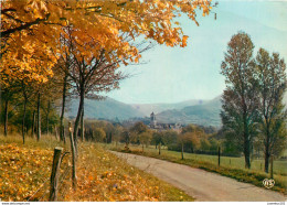 CPSM Dourgne-Abbaye D’en Calcat                       L2744 - Dourgne