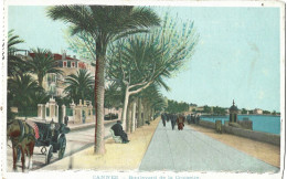 06 Cannes - Boulevard De La Croisette - Cannes