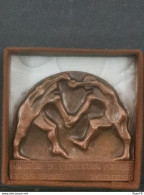Luxembourg Médaille, Ministère De L'éducation Physique Et Sports, Champion 1980. Natation - Other & Unclassified