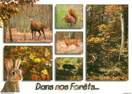 CPSM Dans Nos Forêts.... Animaux           L2760 - Andere & Zonder Classificatie