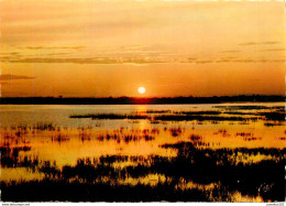 CPSM En Camargue-Coucher De Soleil Sur Le Vaccarés                 L2754 - Other & Unclassified