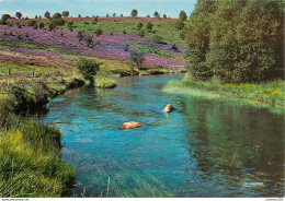 CPSM Vallée De La Vézère               L2753 - Andere & Zonder Classificatie