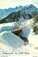 CPSM Paysage-Promenade Au Petit Pont                     L2765 - Autres & Non Classés