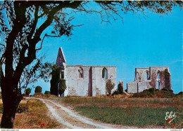 CPSM Ile De Ré              L2764 - Ile De Ré