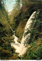 CPSM La Cascade Du Gros Hêtre            L2764 - Sonstige & Ohne Zuordnung