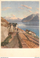 CPSM Vue De Lavaux-Alfred Chavannes               L2762 - Sonstige & Ohne Zuordnung