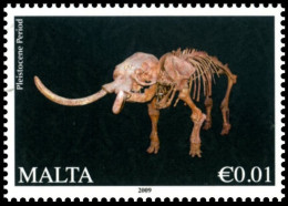 Malta 2009-2015 : Prehistoric Animals, Fossil, Paleontology, Elephas Falconeri - Dwarf Elephant - Vor- U. Frühgeschichte
