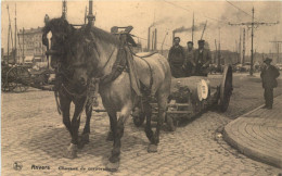 Anvers - Chevaux De Corporations - Antwerpen