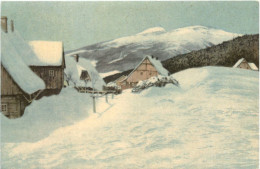 Riesengebirge - Radierung Friedrich Iwan - Grenzbauden - Bohemen En Moravië