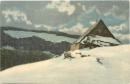 Riesengebirge - Radierung Friedrich Iwan - Einsame Baude - Bohemen En Moravië