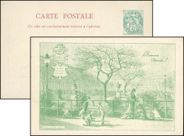 (*) 111 - Carte Postal Du Palais Royal En Vert, Avec Entier Postal à 5c. Type Blanc Au Verso. Seule Carte Postale Verte  - Andere & Zonder Classificatie
