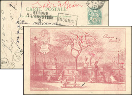 Obl. 111 - Carte Postal Du Palais Royal En Rouge, Avec Entier Postal à 5c. Type Blanc Au Verso, Obl. Du CàD De SALIES-DE - Autres & Non Classés