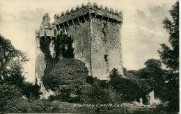 IRELAND - CORK - BLARNEY CASTLE I592 - Cork