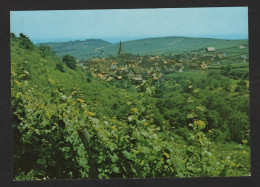 NIEDERMORSCHWIHR (68 H-R.) Vue Générale Aérienne Sur Le Village , Le Vignoble - Autres & Non Classés