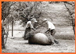 N° 65 1988 Les Foins Le Lien Fenaison ( Scan Recto Verso ) 88 Vosges Vieux Métiers Expo Photo Sapois Vagney - Bauern