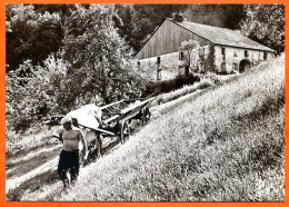 N° 34 1988  La Voiture à Echelles ( Scan Recto Verso ) Boeuf Ferme 88 Vosges Vieux Métiers Expo Photo Sapois - Bauern