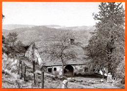 N° 20 1988 La Vieille Maison Ferme ( Scan Recto Verso ) Joel Couchouron 88 Vosges Vieux Métiers Expo Photo - Farmers