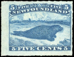 * SG#43 - 5c. Blue. VF. - Other & Unclassified