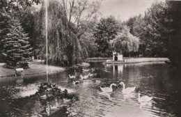 72026 - Bad Orb - Kurparkweiher - 1963 - Bad Orb