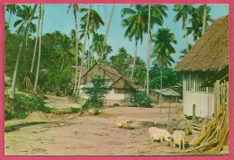 Singapore RURAL  AREA PIG FARM, Vintage 1965-75's_SW S149_cpc - Singapur