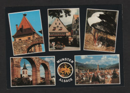 MUNSTER (68 H-R.) Porte Abbatiale " Pàssiàl " Hôtel De Ville, Arcades Du Cloître , Eglise, Vue Générale - Multi-Vues - Munster