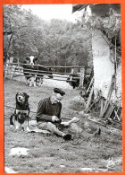 N° 79 Pierre Rebat Sa Faux Vaches Chien 88 Vosges Vieux Métiers  - Farmers