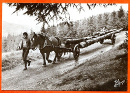 N° 86 Voiturier Et Son Cheval Bois  88 Vosges Vieux Métiers Carte Vierge TBE - Artisanat