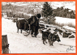 N° 76 2010 Transport Tonneaux Schlitte Chien Neige Le P'tit Camille Et Son Chien Piquet Parc  88 Vosges Vieux Métiers  - Farmers