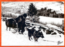 N° 76 1992 Transport Tonneaux Schlitte Chien Neige 88 Vosges Vieux Métiers  - Campesinos