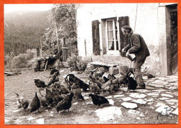 N° 62 Poules Ferme Paysan 88 Vosges Vieux Métiers  - Campesinos