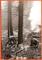 N° 23 Les Bucherons Foret Coupe Bois 88 Vosges Vieux Métiers  - Artesanal