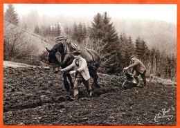 N° 45 La Charrue Avec Cheval 88 Vosges Vieux Métiers  - Bauern