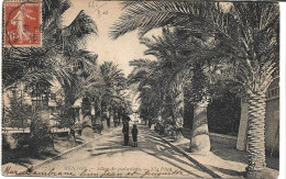 CPA 06 - MENTON - ALLEE DES PALMIERS - Menton